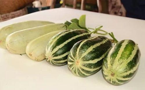 吃瓜的网红叫啥来,揭秘吃瓜网红的爆红之路 第3张 吃瓜的网红叫啥来,揭秘吃瓜网红的爆红之路 第3张